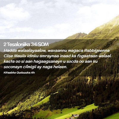 Picture 02 - 2 Tesaloniika 3:6 SOM - Hadda walaalayaalow, waxaannu magaca Rabbigeenna - Bible Verse Picture