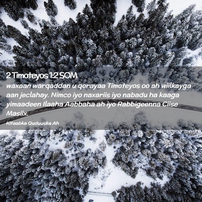Picture 02 - 2 Timoteyos 1:2 SOM - waxaan warqaddan u qorayaa Timoteyos oo ah - Bible Verse Picture
