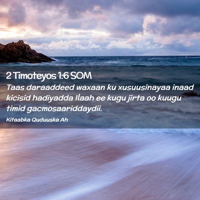 Picture 02 - 2 Timoteyos 1:6 SOM - Taas daraaddeed waxaan ku xusuusinayaa inaad - Bible Verse Picture