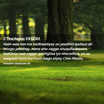 Picture 02 - 2 Timoteyos 1:9 SOM - Ilaah waa kan ina badbaadiyey oo yeedhid quduus - Bible Verse Picture