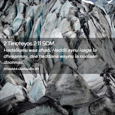 Picture 02 - 2 Timoteyos 2:11 SOM - Hadalkanu waa dhab, Haddii aynu isaga la - Bible Verse Picture