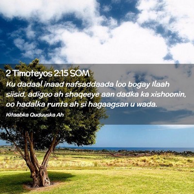 Picture 02 - 2 Timoteyos 2:15 SOM - Ku dadaal inaad nafsaddaada loo bogay Ilaah - Bible Verse Picture
