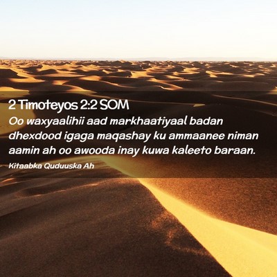 Picture 02 - 2 Timoteyos 2:2 SOM - Oo waxyaalihii aad markhaatiyaal badan dhexdood - Bible Verse Picture
