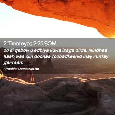 Picture 02 - 2 Timoteyos 2:25 SOM - oo si qabow u edbiya kuwa isaga diida; mindhaa - Bible Verse Picture