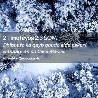 Picture 02 - 2 Timoteyos 2:3 SOM - Dhibaato ka qayb qaado sida askari wanaagsan oo - Bible Verse Picture