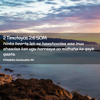 Picture 02 - 2 Timoteyos 2:6 SOM - Ninka beerta leh ee hawshoodaa waa inuu ahaadaa - Bible Verse Picture