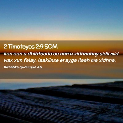 Picture 02 - 2 Timoteyos 2:9 SOM - kan aan u dhibtoodo oo aan u xidhnahay sidii mid - Bible Verse Picture