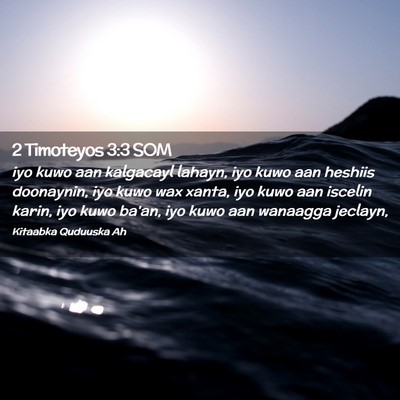 Picture 02 - 2 Timoteyos 3:3 SOM - iyo kuwo aan kalgacayl lahayn, iyo kuwo aan - Bible Verse Picture
