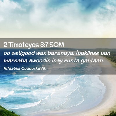 Picture 02 - 2 Timoteyos 3:7 SOM - oo weligood wax baranaya, laakiinse aan marnaba - Bible Verse Picture