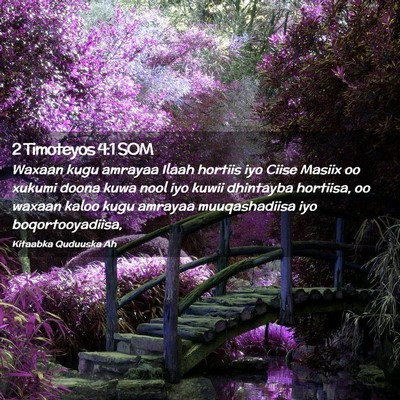 Picture 02 - 2 Timoteyos 4:1 SOM - Waxaan kugu amrayaa Ilaah hortiis iyo Ciise - Bible Verse Picture