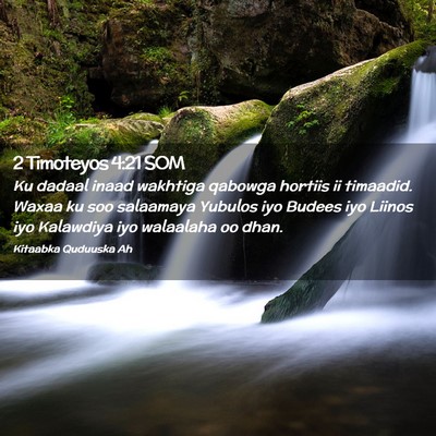 Picture 02 - 2 Timoteyos 4:21 SOM - Ku dadaal inaad wakhtiga qabowga hortiis ii - Bible Verse Picture