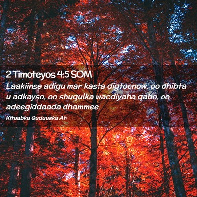 Picture 02 - 2 Timoteyos 4:5 SOM - Laakiinse adigu mar kasta digtoonow, oo dhibta u - Bible Verse Picture