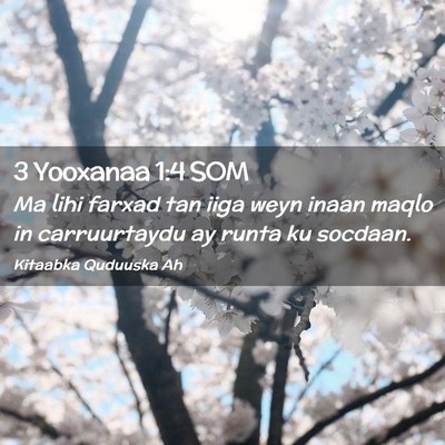 Picture 02 - 3 Yooxanaa 1:4 SOM - Ma lihi farxad tan iiga weyn inaan maqlo in - Bible Verse Picture