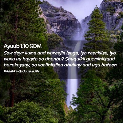 Picture 02 - Ayuub 1:10 SOM - Sow deyr kuma aad wareejin isaga, iyo reerkiisa, - Bible Verse Picture