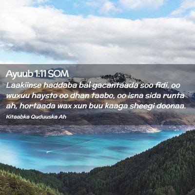 Picture 02 - Ayuub 1:11 SOM - Laakiinse haddaba bal gacantaada soo fidi, oo - Bible Verse Picture