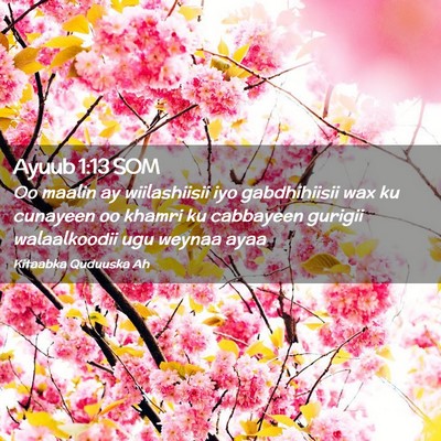 Picture 02 - Ayuub 1:13 SOM - Oo maalin ay wiilashiisii iyo gabdhihiisii wax ku - Bible Verse Picture