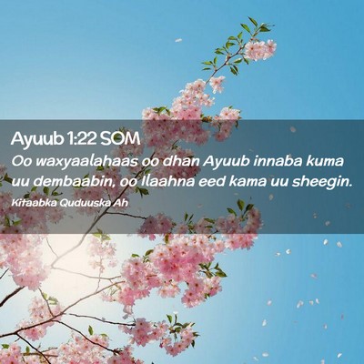 Picture 02 - Ayuub 1:22 SOM - Oo waxyaalahaas oo dhan Ayuub innaba kuma uu - Bible Verse Picture