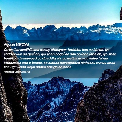 Picture 02 - Ayuub 1:3 SOM - Oo weliba xoolihiisuna waxay ahaayeen toddoba kun - Bible Verse Picture