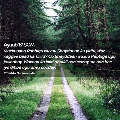 Picture 02 - Ayuub 1:7 SOM - Markaasaa Rabbigu wuxuu Shayddaan ku yidhi, War - Bible Verse Picture