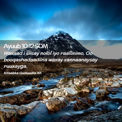 Picture 02 - Ayuub 10:12 SOM - Waxaad i siisay nolol iyo raallinimo, Oo - Bible Verse Picture