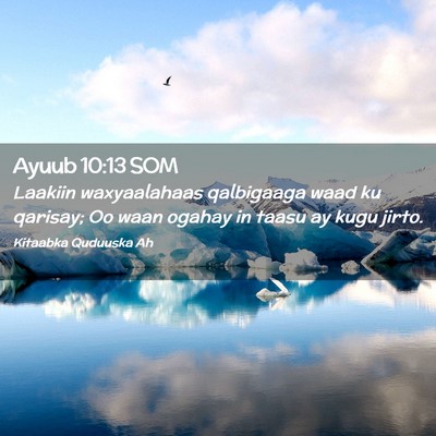 Picture 02 - Ayuub 10:13 SOM - Laakiin waxyaalahaas qalbigaaga waad ku qarisay; - Bible Verse Picture