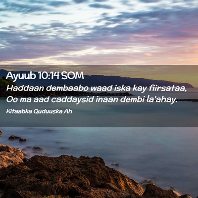 Picture 02 - Ayuub 10:14 SOM - Haddaan dembaabo waad iska kay fiirsataa, Oo ma - Bible Verse Picture