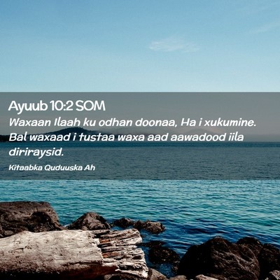 Picture 02 - Ayuub 10:2 SOM - Waxaan Ilaah ku odhan doonaa, Ha i xukumine. Bal - Bible Verse Picture