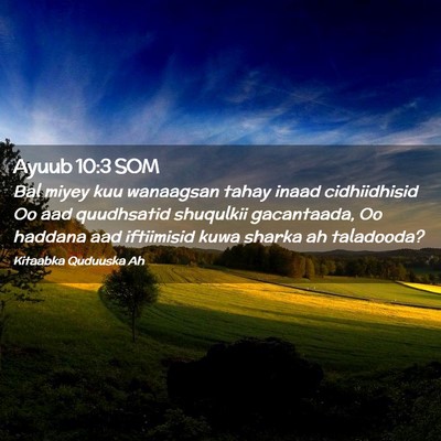 Picture 02 - Ayuub 10:3 SOM - Bal miyey kuu wanaagsan tahay inaad cidhiidhisid - Bible Verse Picture