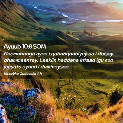 Picture 02 - Ayuub 10:8 SOM - Gacmahaaga ayaa i qabanqaabiyey oo i dhisay - Bible Verse Picture
