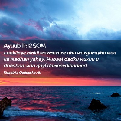 Picture 02 - Ayuub 11:12 SOM - Laakiinse ninkii waxmatare ahu waxgarasho waa ka - Bible Verse Picture
