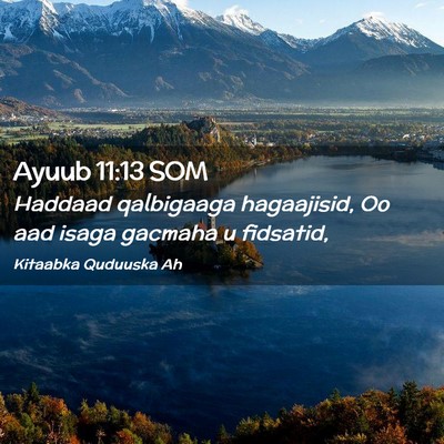 Picture 02 - Ayuub 11:13 SOM - Haddaad qalbigaaga hagaajisid, Oo aad isaga - Bible Verse Picture