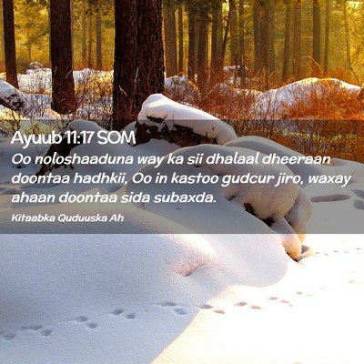 Picture 02 - Ayuub 11:17 SOM - Oo noloshaaduna way ka sii dhalaal dheeraan - Bible Verse Picture