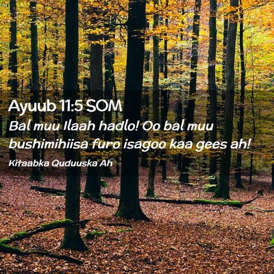 Picture 02 - Ayuub 11:5 SOM - Bal muu Ilaah hadlo! Oo bal muu bushimihiisa furo - Bible Verse Picture