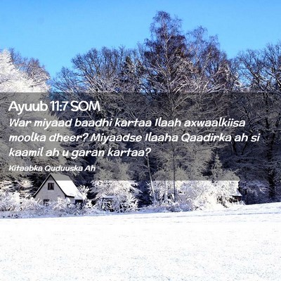 Picture 02 - Ayuub 11:7 SOM - War miyaad baadhi kartaa Ilaah axwaalkiisa moolka - Bible Verse Picture