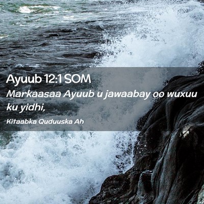 Picture 02 - Ayuub 12:1 SOM - Markaasaa Ayuub u jawaabay oo wuxuu ku - Bible Verse Picture