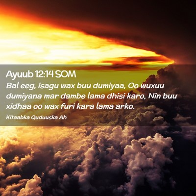 Picture 02 - Ayuub 12:14 SOM - Bal eeg, isagu wax buu dumiyaa, Oo wuxuu dumiyana - Bible Verse Picture