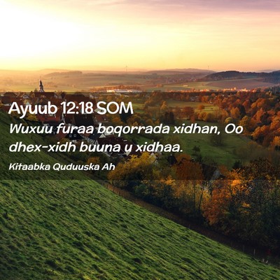 Picture 02 - Ayuub 12:18 SOM - Wuxuu furaa boqorrada xidhan, Oo dhex-xidh buuna - Bible Verse Picture
