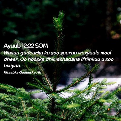 Picture 02 - Ayuub 12:22 SOM - Wuxuu gudcurka ka soo saaraa waxyaalo mool dheer, - Bible Verse Picture