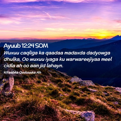 Picture 02 - Ayuub 12:24 SOM - Wuxuu caqliga ka qaadaa madaxda dadyowga dhulka, - Bible Verse Picture