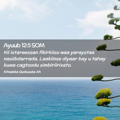 Picture 02 - Ayuub 12:5 SOM - Kii istareexsan fikirkiisu waa yaraystaa - Bible Verse Picture