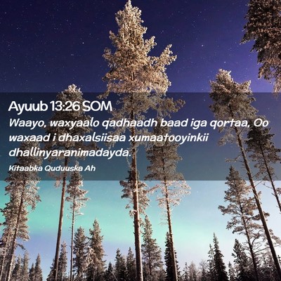 Picture 02 - Ayuub 13:26 SOM - Waayo, waxyaalo qadhaadh baad iga qortaa, Oo - Bible Verse Picture