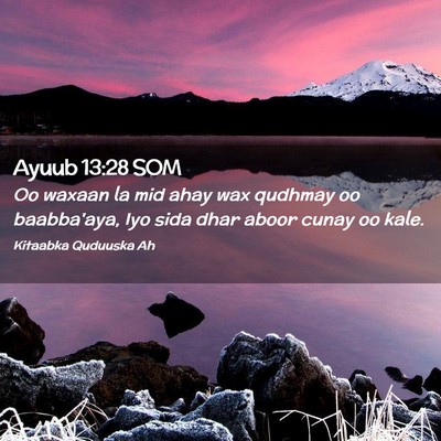 Picture 02 - Ayuub 13:28 SOM - Oo waxaan la mid ahay wax qudhmay oo baabba'aya, - Bible Verse Picture