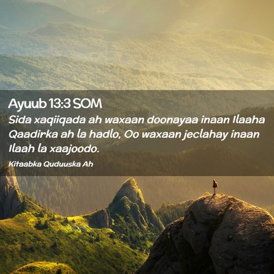 Picture 02 - Ayuub 13:3 SOM - Sida xaqiiqada ah waxaan doonayaa inaan Ilaaha - Bible Verse Picture