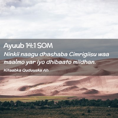 Picture 02 - Ayuub 14:1 SOM - Ninkii naagu dhashaba Cimrigiisu waa maalmo yar - Bible Verse Picture