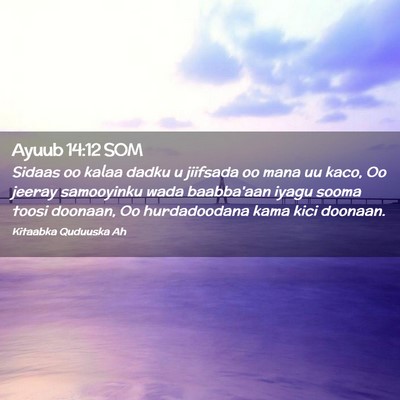 Picture 02 - Ayuub 14:12 SOM - Sidaas oo kalaa dadku u jiifsada oo mana uu kaco, - Bible Verse Picture