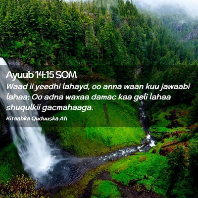 Picture 02 - Ayuub 14:15 SOM - Waad ii yeedhi lahayd, oo anna waan kuu jawaabi - Bible Verse Picture