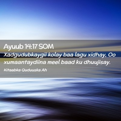 Picture 02 - Ayuub 14:17 SOM - Xadgudubkaygii kolay baa lagu xidhay, Oo - Bible Verse Picture
