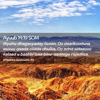 Picture 02 - Ayuub 14:19 SOM - Biyuhu dhagaxyaday lisaan, Oo daadkooduna wuxuu - Bible Verse Picture