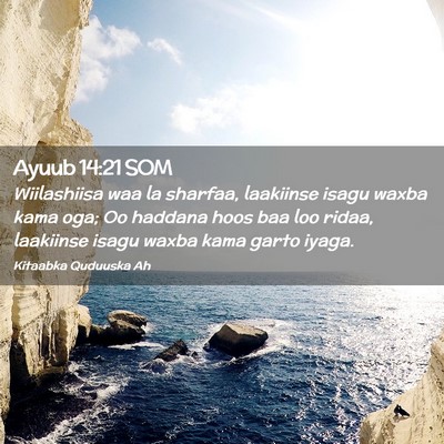 Picture 02 - Ayuub 14:21 SOM - Wiilashiisa waa la sharfaa, laakiinse isagu waxba - Bible Verse Picture