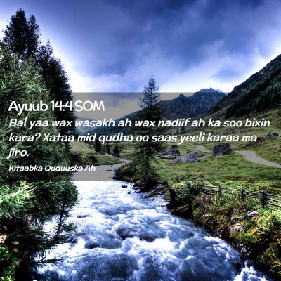 Picture 02 - Ayuub 14:4 SOM - Bal yaa wax wasakh ah wax nadiif ah ka soo bixin - Bible Verse Picture